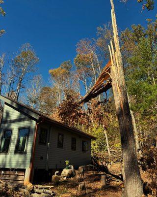 High Lonesome Timber