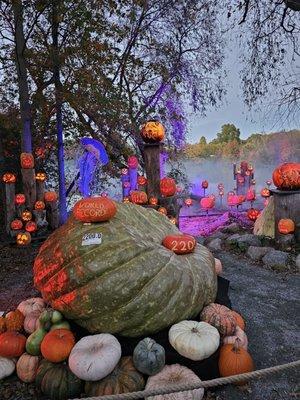 Jack-O-Lantern Spectacular