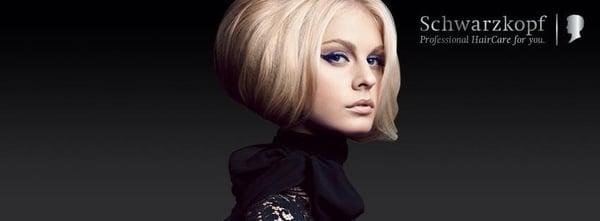 Elegance Studio