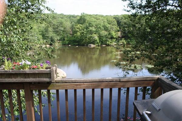 Maggie & Raffy's Canine Camp