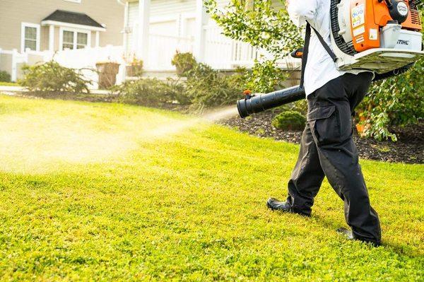 Mosquito Mike - New Bedford