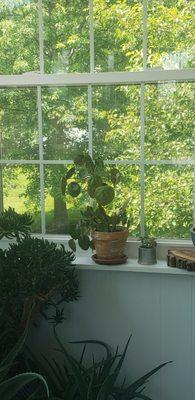 Sparkling windows....