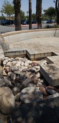 Centrpnt carwash: the outside waiting area was so filthy, needed to be swept, papers thrown on ground and the waterfall was full of trash.