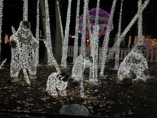 Anne Ellen Christmas Tree Farm