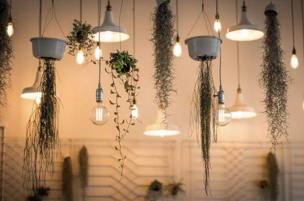 Fae Electrical Service