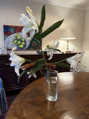 Austin Flower