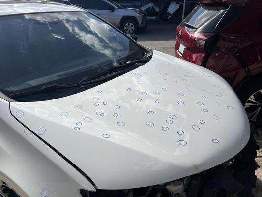 Coach Works Auto Body