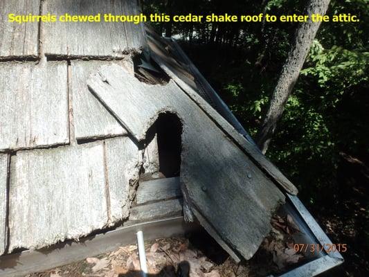 Fred Herndon Home Inspections Inc