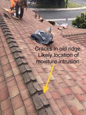 California Construction Solutions