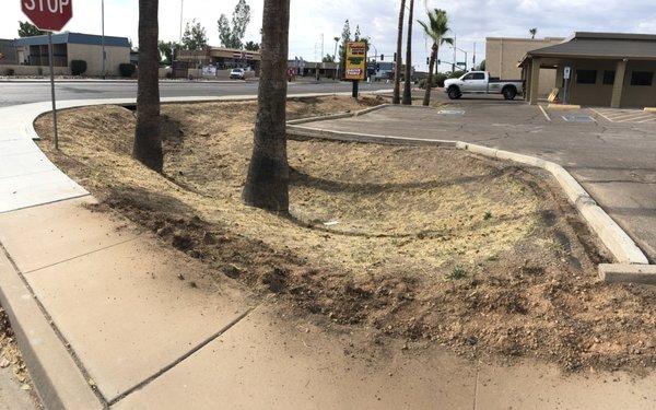 Father and Son Landscape Remodeling