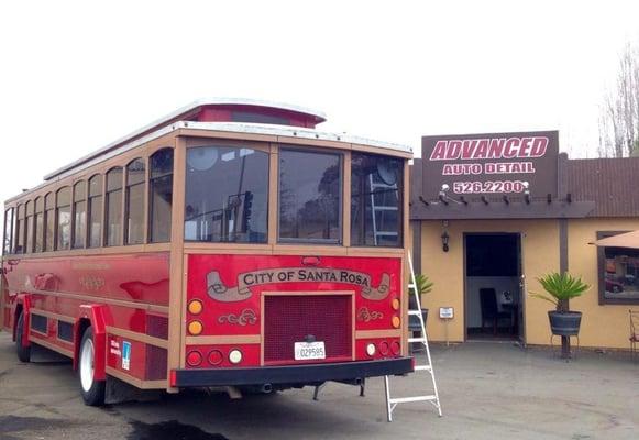 Go Local with us! Getting Rosie sparkling!