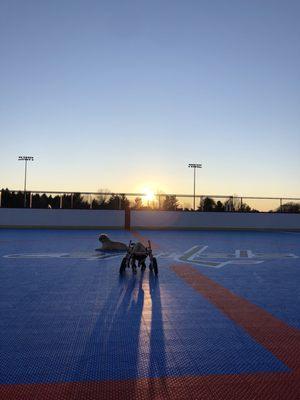 In line rink