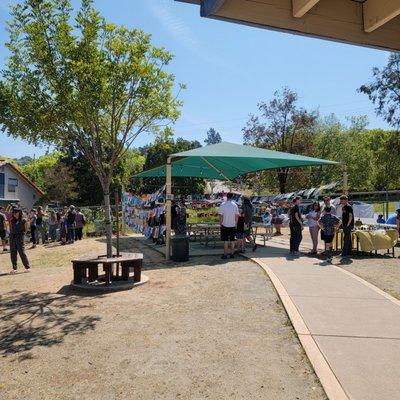 The Classical Academy