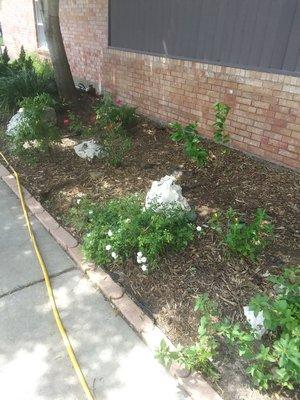 You Grow It We Mow It