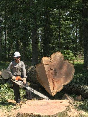 Timber Pros Tree Care