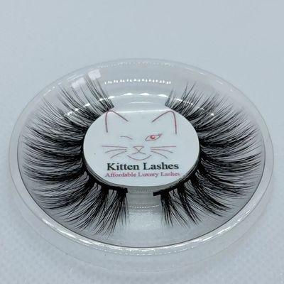 Kitten Lashes