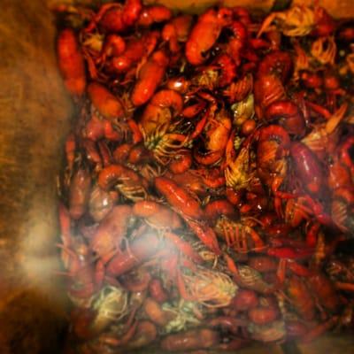 Chiasson's has boiled crawfish!!!