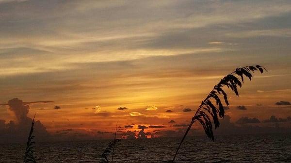 Beach House Vacation rental