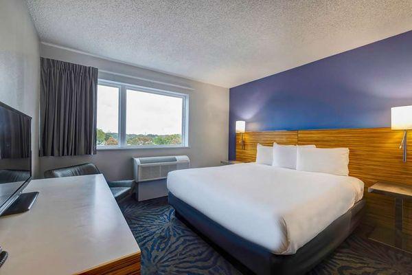 Motel Arlington TX Single King