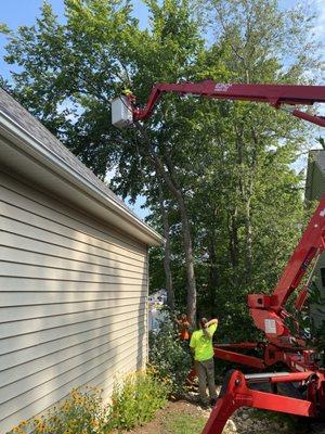 Straight Cuts Tree & Lawn Care