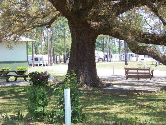 TLC Wolf River Resort