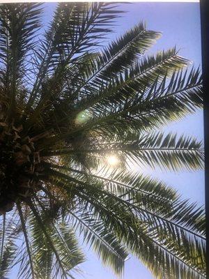 Call 321-698-4053 for a free consultation!