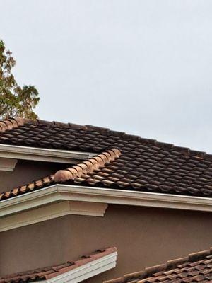 Dirty roof, before washing.
