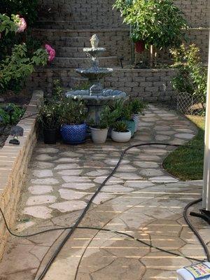 Dalia’s Concrete Services