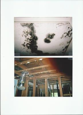 Sevenrays Environmental Concepts Inc