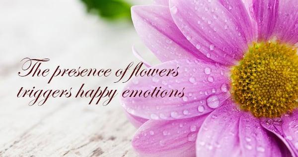 Flower Delivery Seattle