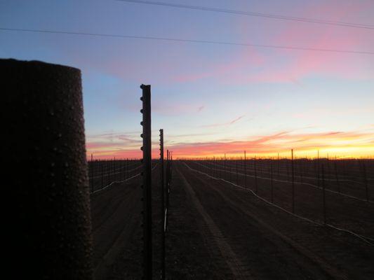 J&M Agriculture Services