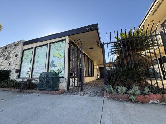 Hope Artificial Limb