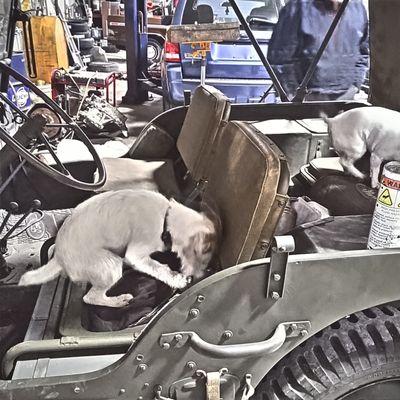 Taney Service Center