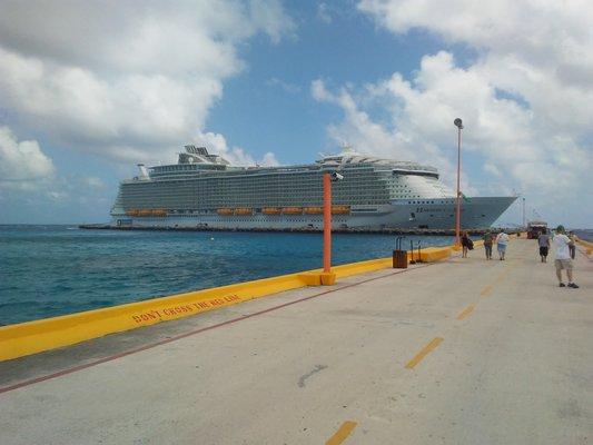 MetroCity Travel Partners