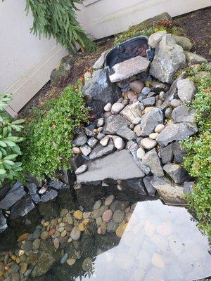 Palominos Ponds and Yard Maintenance