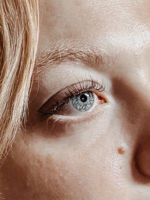 Lash lift with tint $100