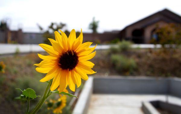 Derrel's Mini Storage