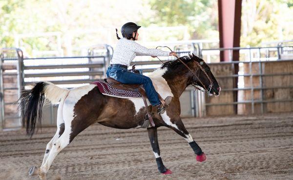 Yucaipa Equestrian Center