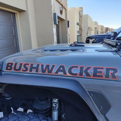 Exclusive Wraps & Tint