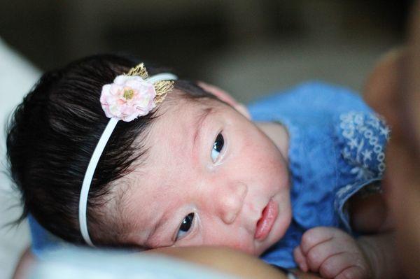 Scattered Flock Creative Company