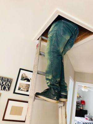 Innovative Home Concepts