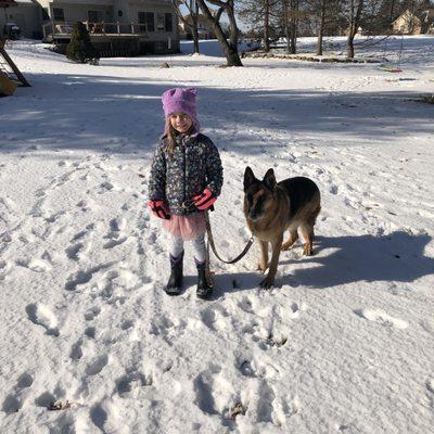 Nobleheim German Shepherds