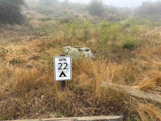 Tent site 22