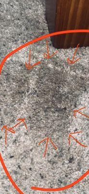 Chem-Dry by the Millers