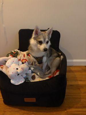 Settling down with Stephanie