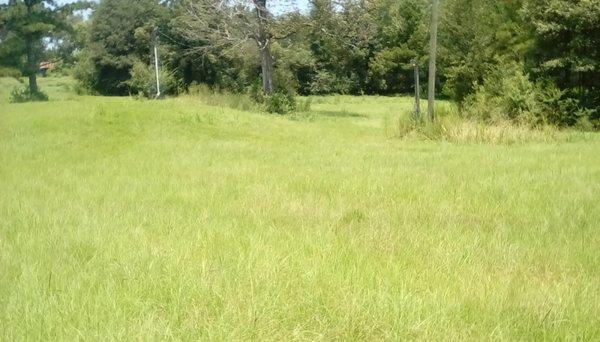 House pad pecan and temporary electric