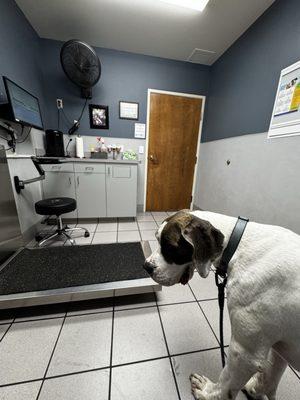 Wilsonville Veterinary Clinic