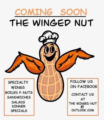 The Winged Nut