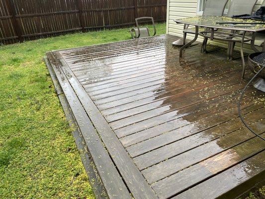 RJP Property Services