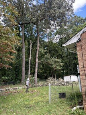 Spartan Tree Service & Landscaping